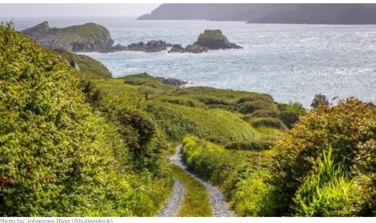 Glandore Mews Situated In The Picturesque Village Of Glandore Exteriör bild